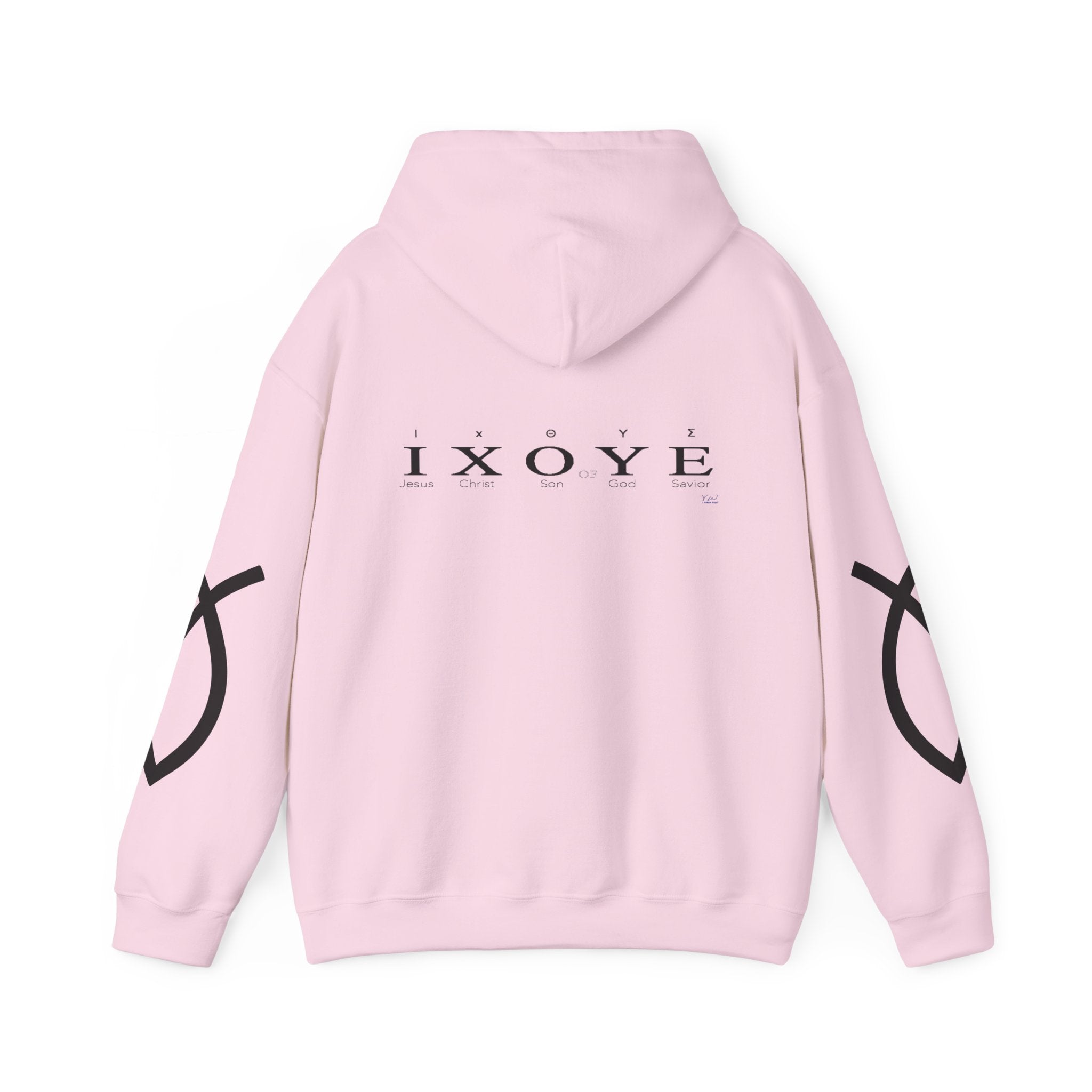 Jesus is King & Five Letter Creed of Faith —  Pullover