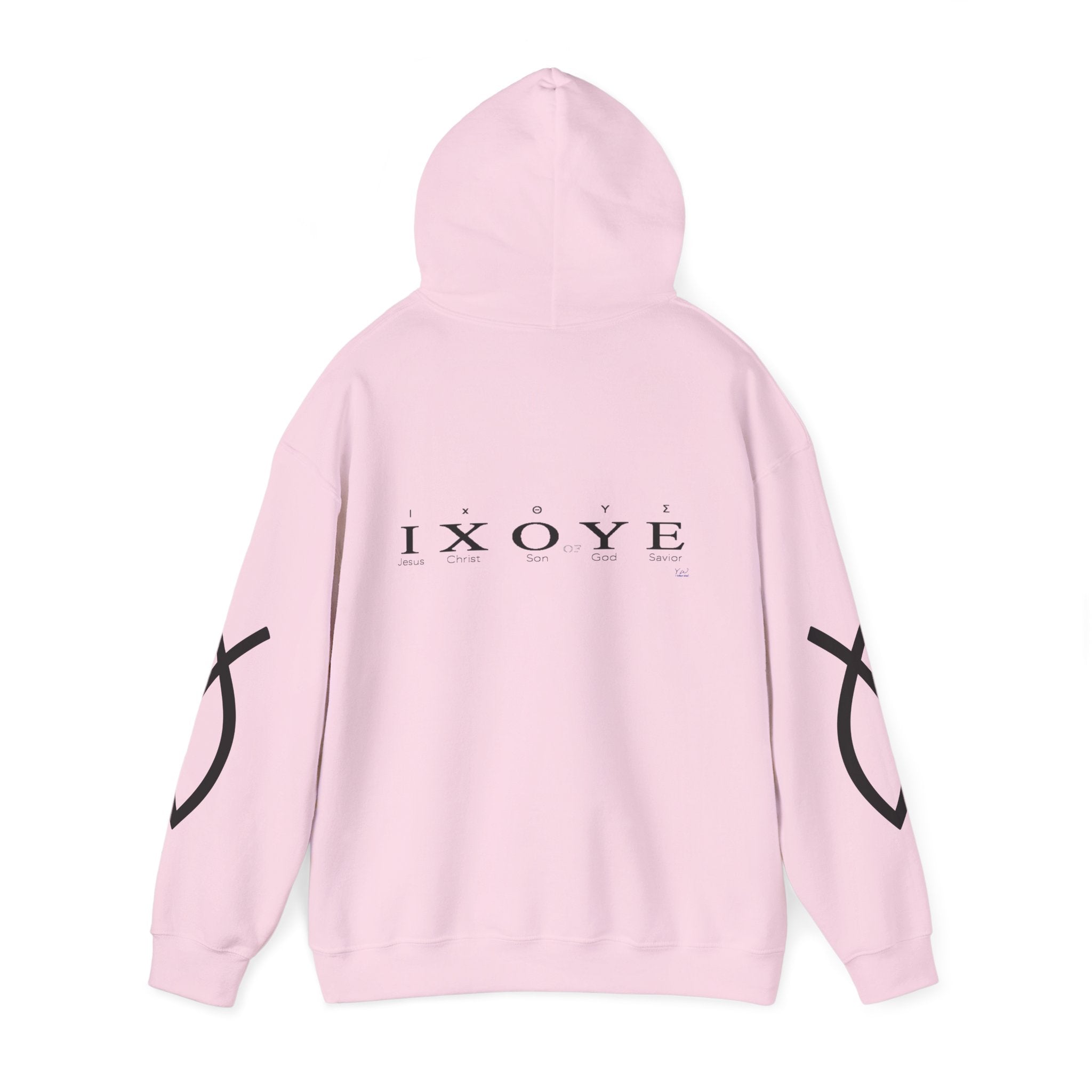 Jesus is King & Five Letter Creed of Faith —  Pullover